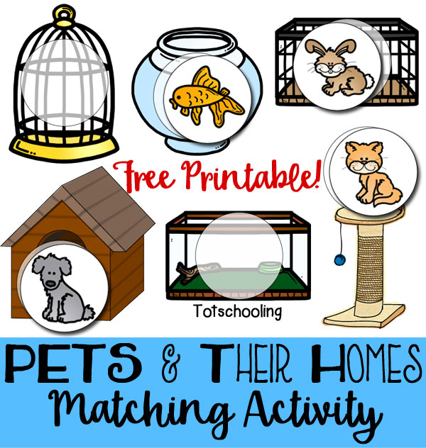  20 increíbles actividades para preescolares sobre mascotas
