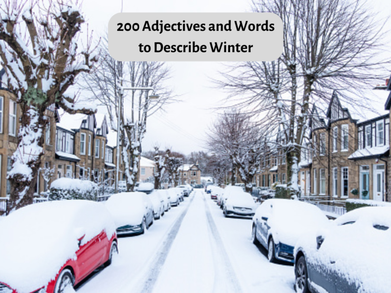  200 adjektiver og ord for å beskrive vinteren