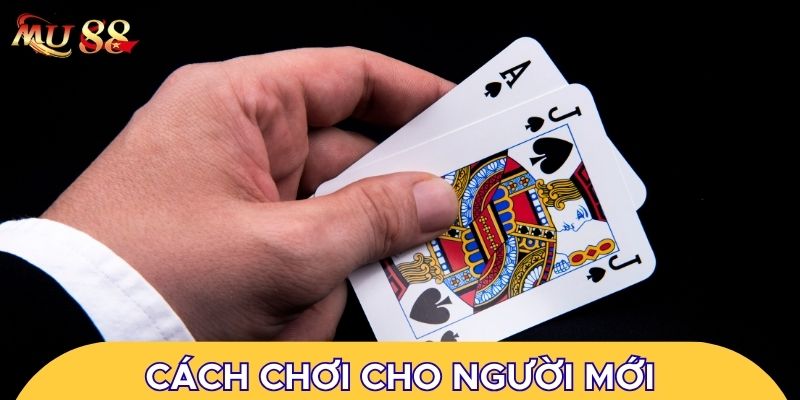 Cách chơi cho người mới