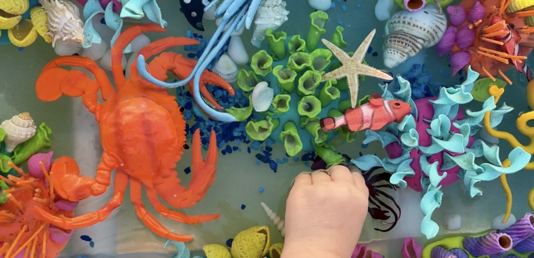  30 attività per la scuola dell'infanzia ispirate a Under The Sea