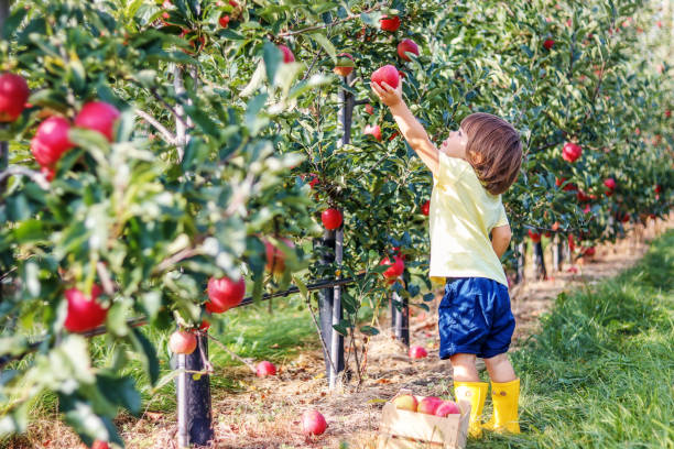  25 Hands-On Fruit &amp; amp; Zeleninové aktivity pro předškoláky