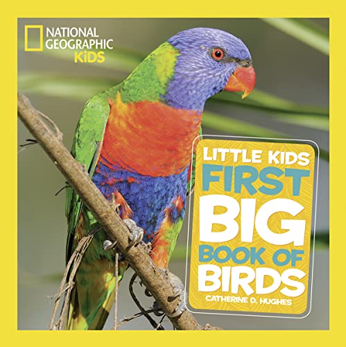  23 लहान मुलांसाठी अनुकूल पक्षी पुस्तके