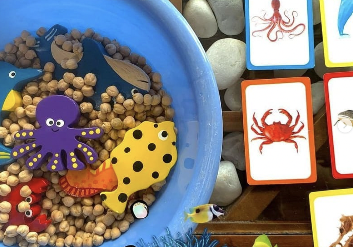  28 divertidas actividades oceánicas que os nenos gozarán