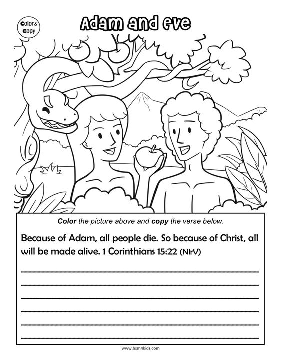  12 Деятельность Адама и Евы